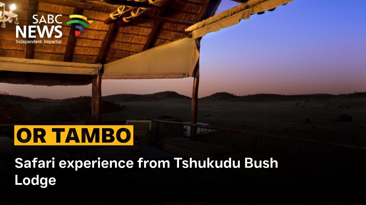 Follow The Sun | Safari experience from Tshukudu Bush Lodge