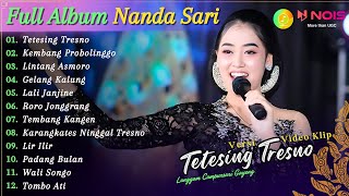 Full Album Campursari Nanda Sari - Tetesing Tresno | Kompilasi Video Langgam Campursari Terbaru 2024