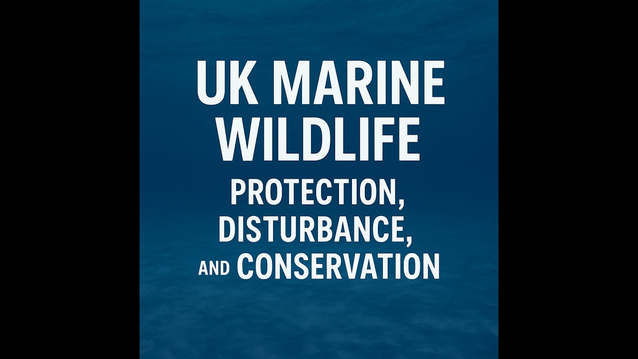 UK Marine Wildlife: Protection, Disturbance, and Conservation