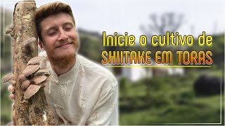 Cultivo do Shiitake em toras