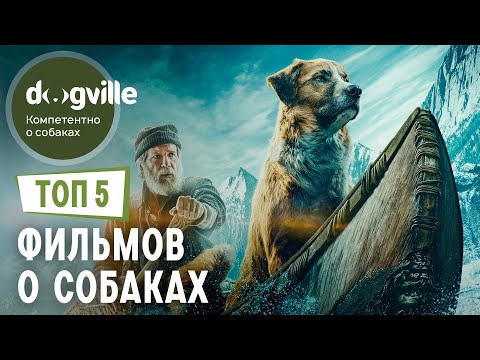 ТОП 5 ФИЛЬМОВ о собаках — Часть 2