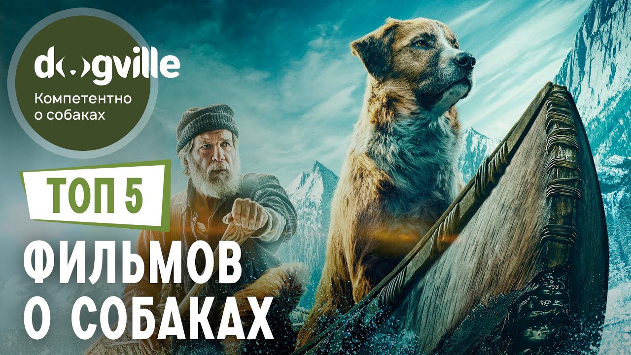 ТОП 5 ФИЛЬМОВ о собаках - Часть 2