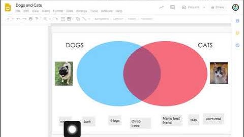 Google Assignment on Canvas with iPad