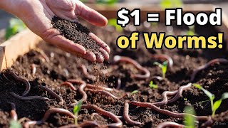 This $1 Hack Will Flood Your Raised Beds With Worms!”