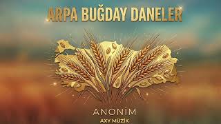 Arpa Buğday Daneler - Axy Müzi̇k