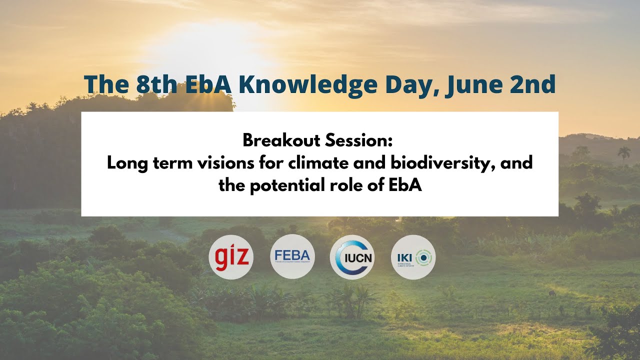 8th EbA Knowledge Day: Long term visions for climate and biodiversity ...