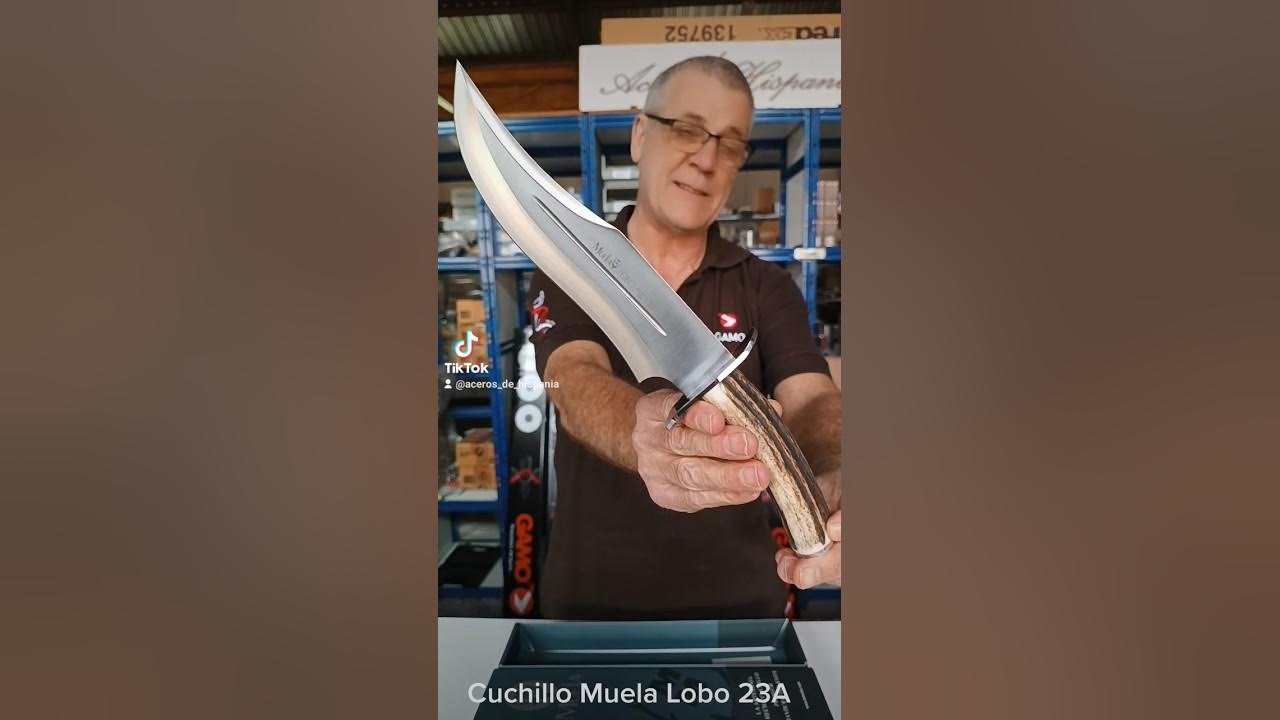 Cuchillo Muela Lobo 23A #acerosdehispania #knife #hunting