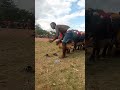 African Drums The Power Of Hands Shorts Youtubevideos Youtubeshorts Dancing African Drums The Power Of Hands Shorts Youtubevideos Youtubeshorts Dancing