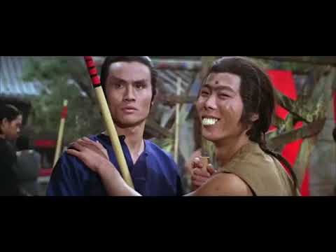 فلم دوبله فارسی چینایی بسیار زیبا من کانگفو بلد نیستم