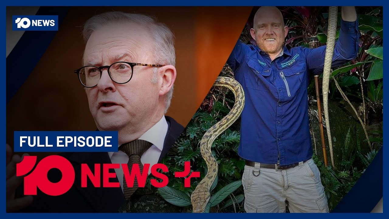Carpet Python In Studio, Albanese Targeted By Scammers, Bob Katter ...