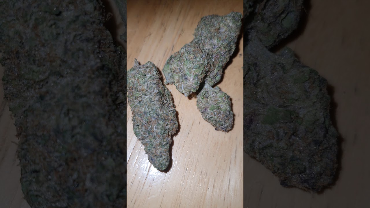 el zapo cali bang bang 😂😂😂 weed review