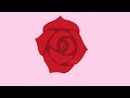 Drawing a rose on ibispaintx!
