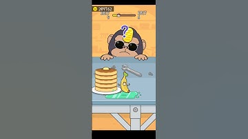 Hide And Seek : Cat 🐈 Escape Game | Level-10175 | Satisfying Gameplay #games #shorts #hideandseek0