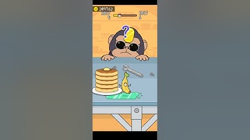 Hide And Seek : Cat 🐈 Escape Game | Level-10175 | Satisfying Gameplay #games #shorts #hideandseek0