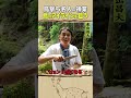 東出昌大 / 鳥のアイライン