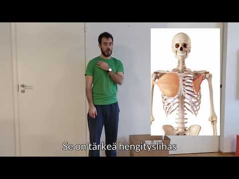 Video: T8 Rintarangan Nikamakaavio, Anatomia Ja Toiminta - Vartalokartat