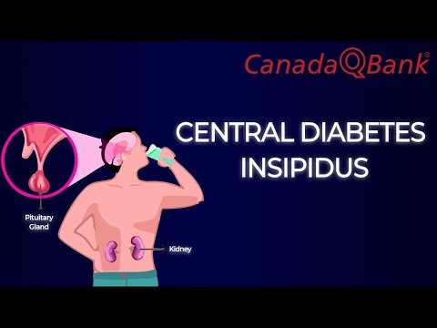 Video: Milloin diabetes insipidus löydettiin?