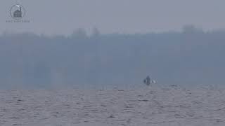 Фата-моргана над оз. Пено 01.11.2020/Fata Morgana on lake Peno 01/11/2020