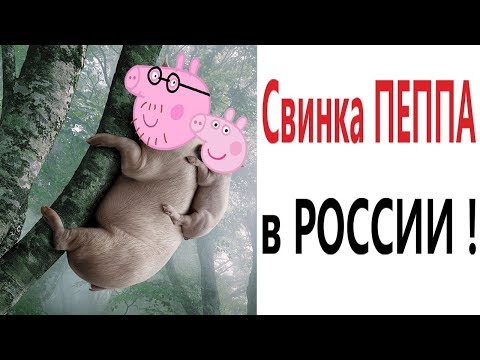 Лютые приколы. СВИНКА ПЕППА В РОССИИ!!! Попробуй не засмеяться! Самое смешное видео! – Domi Show!