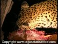 African Safaris to Motswari Game Reserve