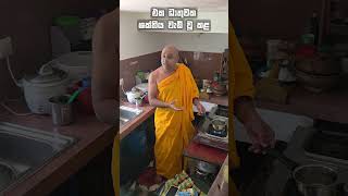 In this great September, the souls of half of all living beings on Earth were wiped out