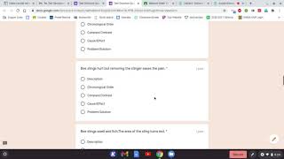 Text Structure Quiz 8th Grade