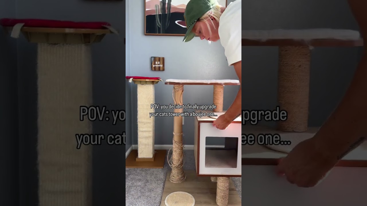 Cannot recommend @mau.pets furniture enough. 10/10 quality and boujee cat approved* 