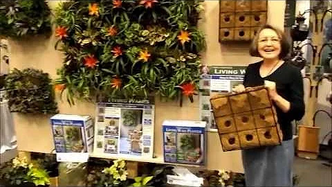 NEW - PAMELA CRAWFORD'S LIVING WALLS - ATLANTA 2013