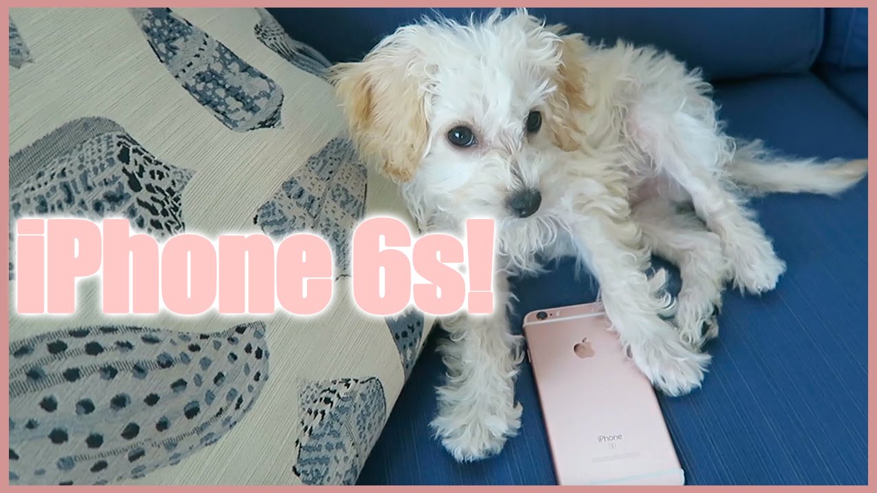 Getting the iPhone 6s + test!