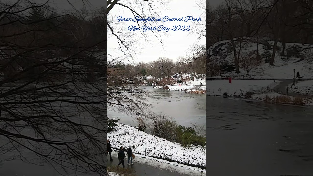 ❄️ First Snowfall ❄️ in Central Park 🌲 
