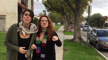 Christmas Tree Graveyard