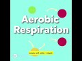 Understanding the basics concept of respiration in just 6 minutes 