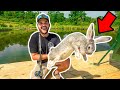 Taking the WORLD'S LARGEST RABBIT Fishing in My BACKYARD POND!!! (NEW PB)