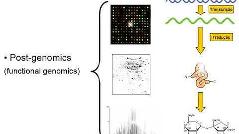 Metabolic networks - Part 1