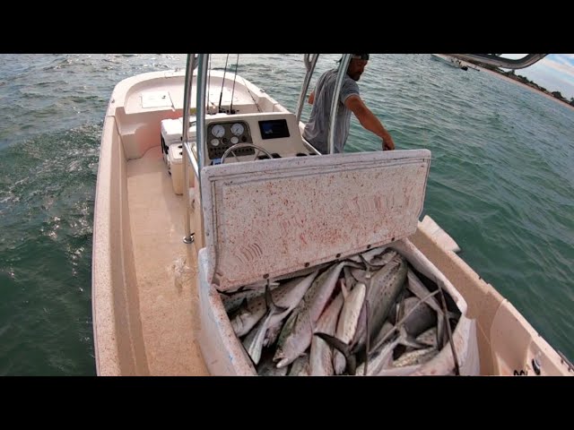 Filling My Friends New Boat Full of FISH! 