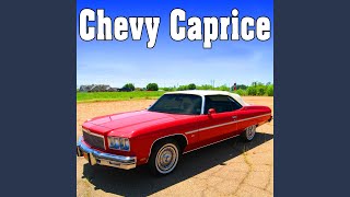 Chevy Caprice, Internal Perspective: Key Inserted into Ignition & Car Turned On