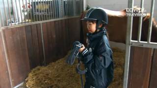 Download Lagu LWEA doc eng MP3