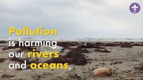 Scouts recommit to the environment