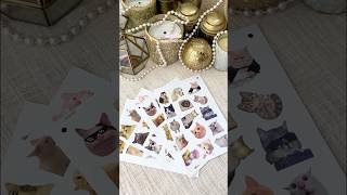 Cat stickers from Meesho 😻 #meeshofinds #stationery #cutecat #scrapbooking