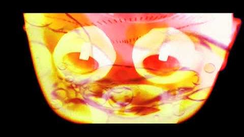 Softimage Toonz: User Group Meeting Show Opening