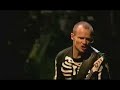 RHCP Live at Slane Castle-JF Guitar solo (Parallel Universe)