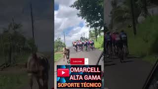 La Vaca Atleta