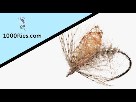 Video: Come affrontare una mosca di cipolla in un'aiuola?