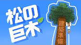 マイクラ統合版 植林場の紹介とトウヒの木集め Youtube