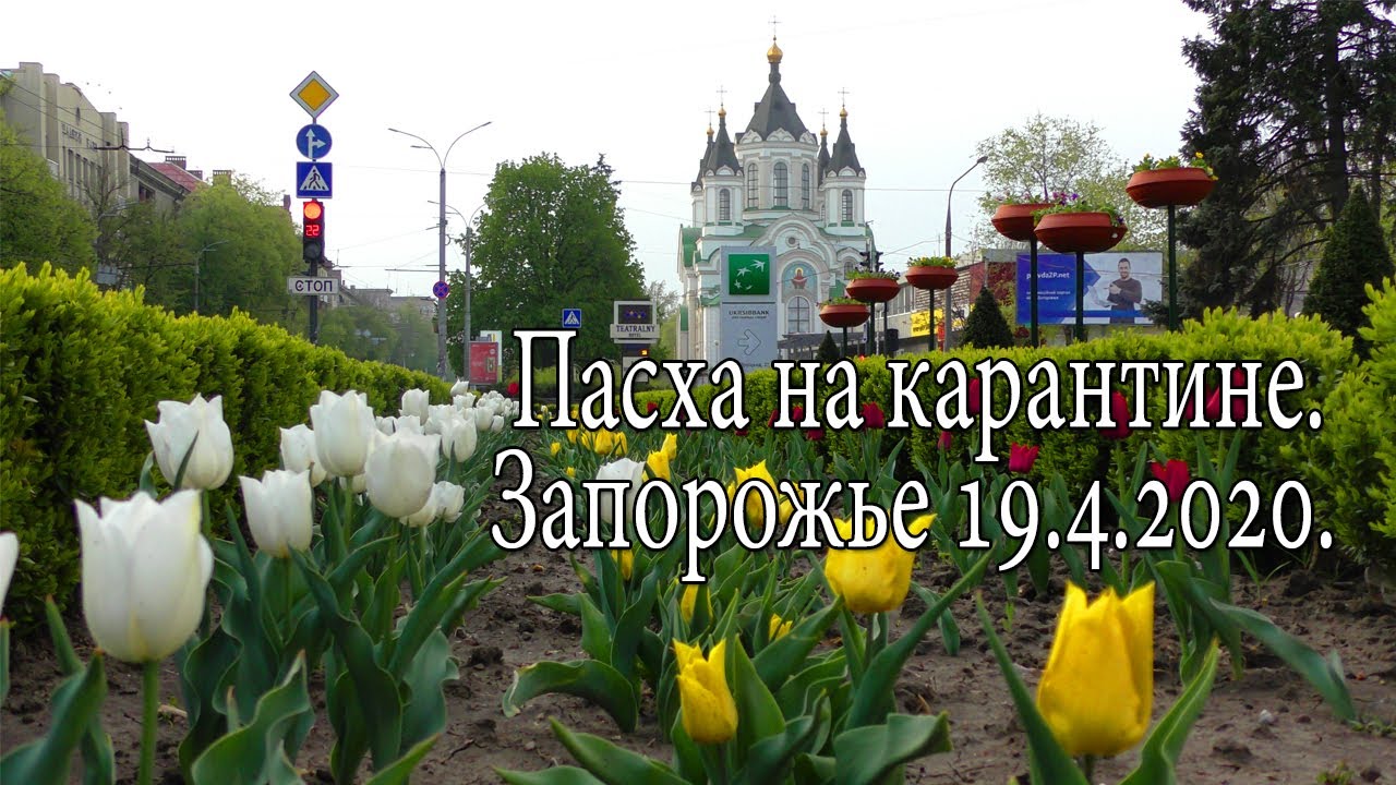 Видео Поздравление Городу