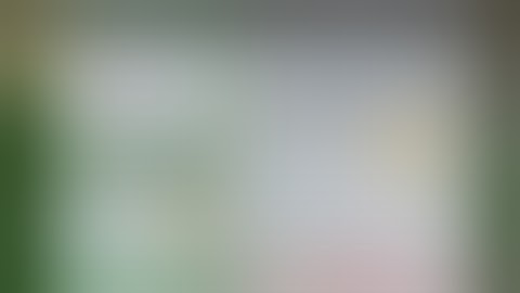 Proof Scammer (1) How i get scamed in Skyblock BlockmanGo