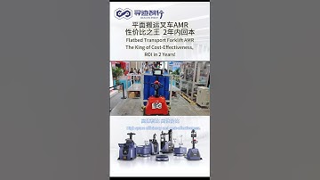 Year-End Big Sale! Flatbed AGV P Series: Efficiency Meets Cost-Effectiveness #machine