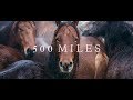 500 Miles - The Story of Ranchers and Horses (2017)