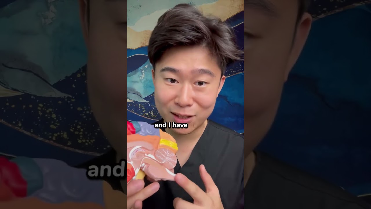 🌟 Your feelings of hunger and the way you breathe are directly controlled by your brain stem? This