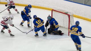 Wayzata Girls Hockey Stays Hot with 2-0 Win over North Wright County